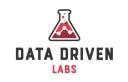 Data Driven Labs logo